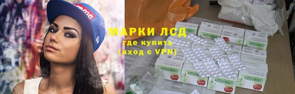 сатива Гусиноозёрск