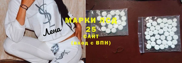 сатива Гусиноозёрск