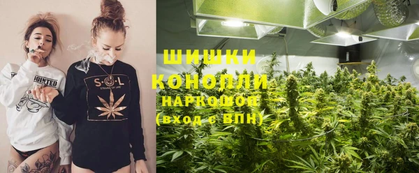 сатива Гусиноозёрск
