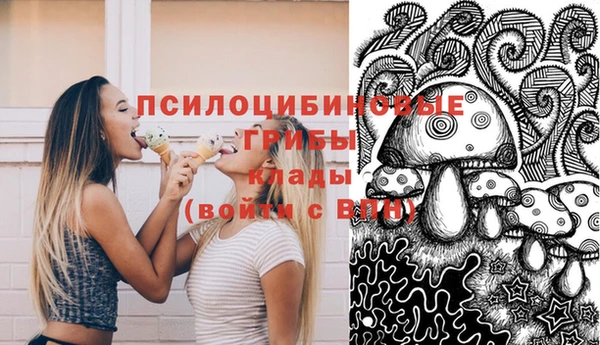 сатива Гусиноозёрск