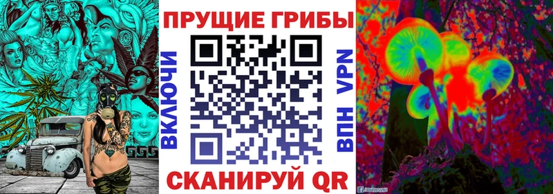 Галлюциногенные грибы GOLDEN TEACHER  Купить  Новохопёрск 